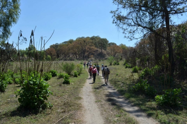  Routes of kms 